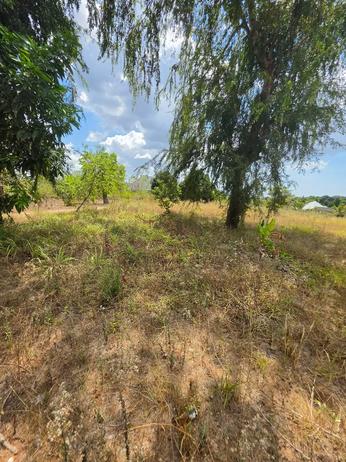 Plot for sale in Madale Mbopo, Dar Es Salaam sqm 873