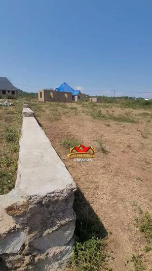 Residential Plot for Sale in Bweri, Mara (1350 sqm) Residential Plot for Sale in Bweri, Mara (1350 sqm)