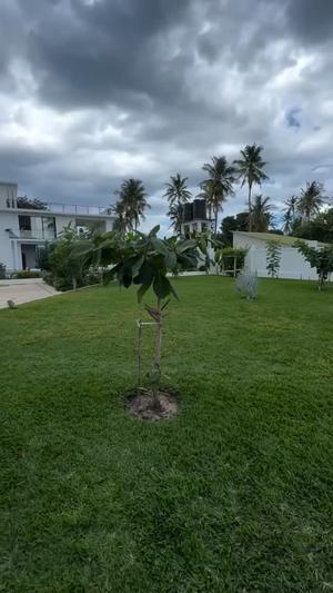 Nyumba inauzwa Bahari Beach, Dar Es Salaam