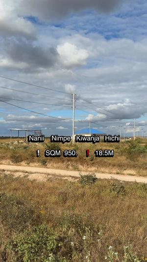Kiwanja kinauzwa Nala Chinangali, Dodoma sqm 950