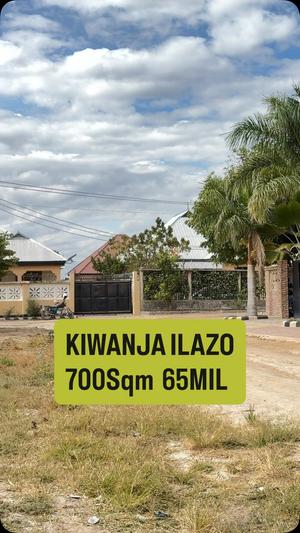 Kiwanja kinauzwa Ilazo, Dodoma sqm 700