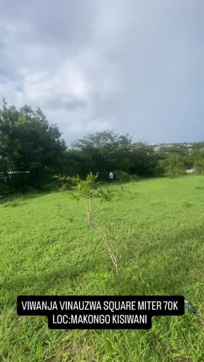 Viwanja vinauzwa Makongo Kisiwani, Dar Es Salaam