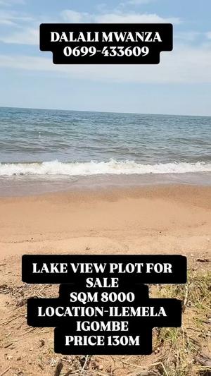 Plot for sale in Igombe, Mwanza sqm 8000 Plot for sale in Igombe, Mwanza sqm 8000