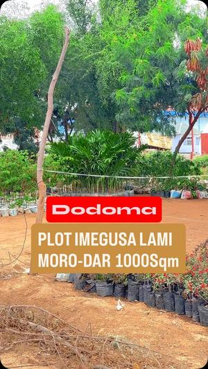 Kiwanja kinauzwa Kisasa, Dodoma sqm 1018 Kiwanja kinauzwa Kisasa, Dodoma sqm 1018