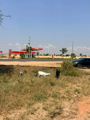 Kiwanja kinauzwa Dodoma Mjini Mtumba Mji Wa Kiserikali Cha Kwanza Lami - Dar Road (3070 sqm)