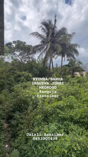 Nyumba ya vyumba viwili inauzwa Jumbi Mkorogo, Zanzibar - Unguja South (2838 sqm)