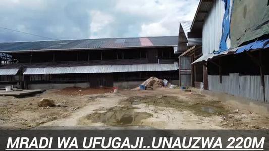 Farm for Sale in Chalinze, Pwani (1 acre) Farm for Sale in Chalinze, Pwani (1 acre)