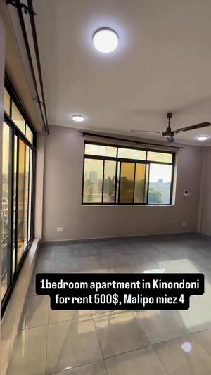 1 Bedroom House/Apartment for Rent in Kinondoni, Dar Es Salaam