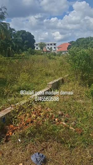 Viwanja vinauzwa Makongo, Dar Es Salaam sqm 700 Viwanja vinauzwa Makongo, Dar Es Salaam sqm 700