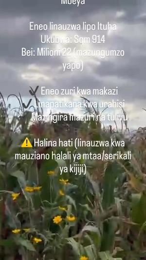 Residential Plot for Sale in Ituha, Mbeya (914 sqm)