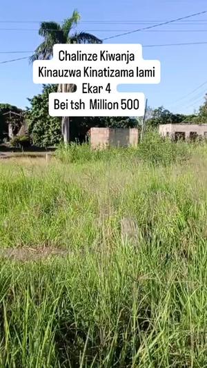 Commercial Plot for Sale in Chalinze, Pwani (4.25 acre) Commercial Plot for Sale in Chalinze, Pwani (4.25 acre)