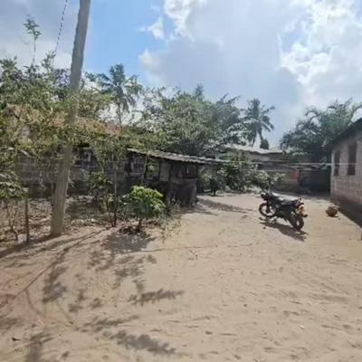 Residential Plot for Sale in Tabata Kinyerezi Dalajani (Mongolandege), Dar Es Salaam (400 sqm) Residential Plot for Sale in Tabata Kinyerezi Dalajani (Mongolandege), Dar Es Salaam (400 sqm)