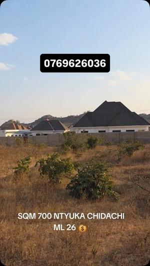 Kiwanja kinauzwa Ntyuka Chidachi, Dodoma (700 sqm) Kiwanja kinauzwa Ntyuka Chidachi, Dodoma (700 sqm)
