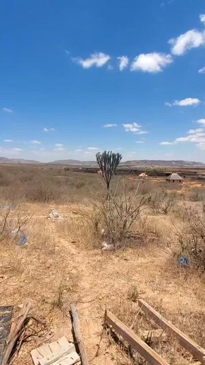 Viwanja vinauzwa Ntyuka, Dodoma (600 sqm)