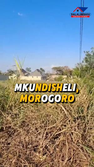 Kiwanja kinauzwa Mkundi Shelli, Morogoro (600 sqm) Kiwanja kinauzwa Mkundi Shelli, Morogoro (600 sqm)