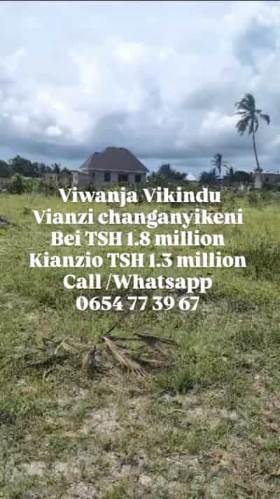 Viwanja vinauzwa Vikindu Vianzi, Pwani (200 sqm)