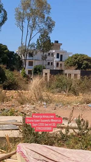 Kiwanja kinauzwa Buswelu, Mwanza (1201 sqm)