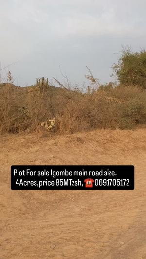 Kiwanja (Commercial Plot) kinauzwa Igombe Road, Mwanza (4 acre) Kiwanja (Commercial Plot) kinauzwa Igombe Road, Mwanza (4 acre)