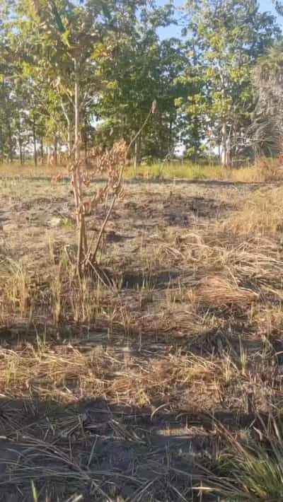 Kiwanja kinauzwa Kimbiji kwa Morisi, Kigamboni, Dar Es Salaam (1 acre)