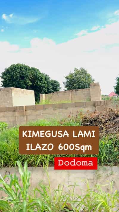 Kiwanja kinauzwa Ilazo ya Zamani, Dodoma (600 sqm) Kiwanja kinauzwa Ilazo ya Zamani, Dodoma (600 sqm)