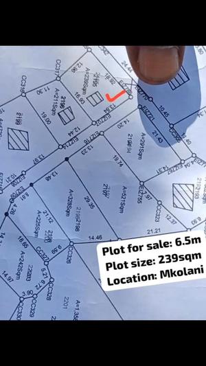 Plot for sale in Mkolani, Mwanza sqm 239