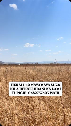 Farm for Sale in Dodoma (10 acre) Farm for Sale in Dodoma (10 acre)
