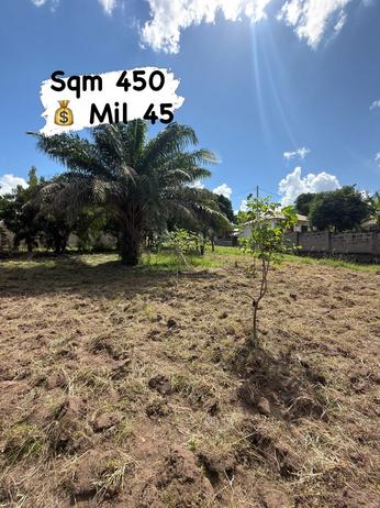 Kiwanja kinauzwa Kinyerezi Mwisho Makofia, Dar Es Salaam (450 sqm)