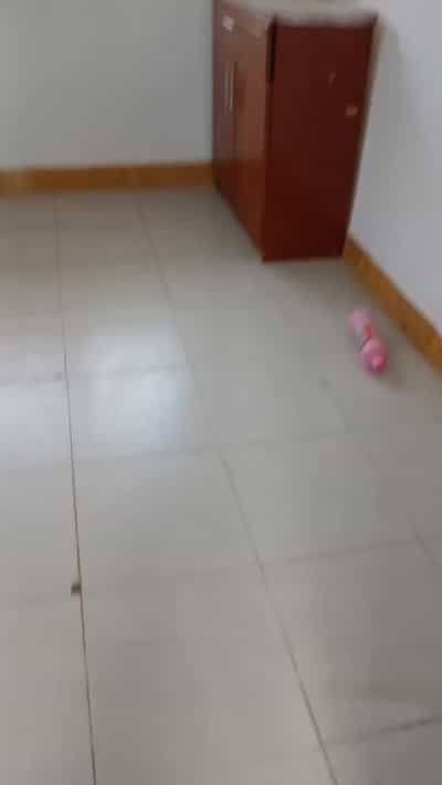 2 Bedrooms House for Rent in KINONDONI MANGO GARDEN, Dar Es Salaam