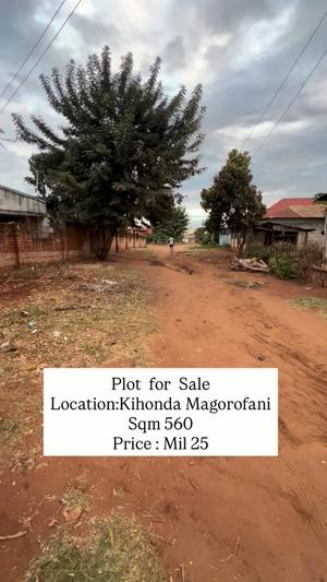 Residential Plot for Sale in Kihonda Magorofani, Morogoro (560 sqm) Residential Plot for Sale in Kihonda Magorofani, Morogoro (560 sqm)