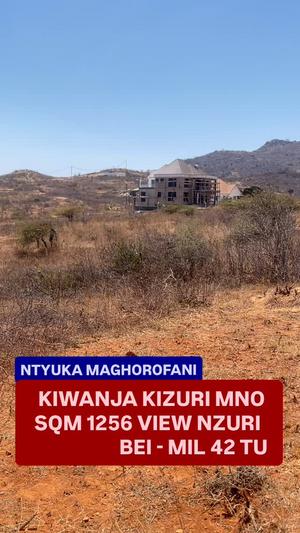 Kiwanja kinauzwa Ntyuka, Dodoma (1256 sqm)