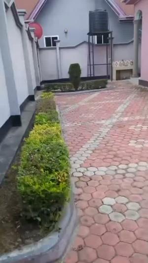 Nyumba ya chumba kimoja inapangishwa Block T, Mbeya