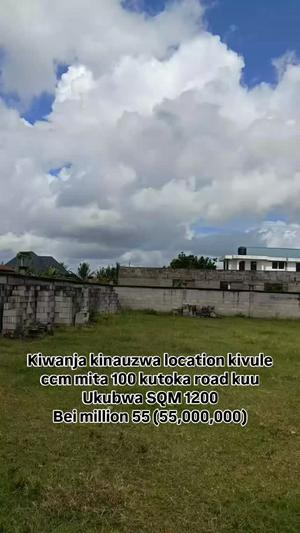 Kiwanja kinauzwa Kivule Ccm, Dar Es Salaam (1200 sqm)