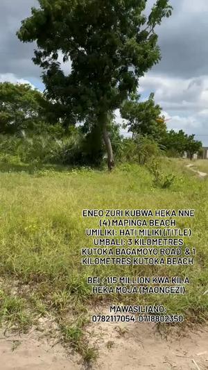 Beach Plot for Sale in Mapinga Beach, Pwani (4 acre)