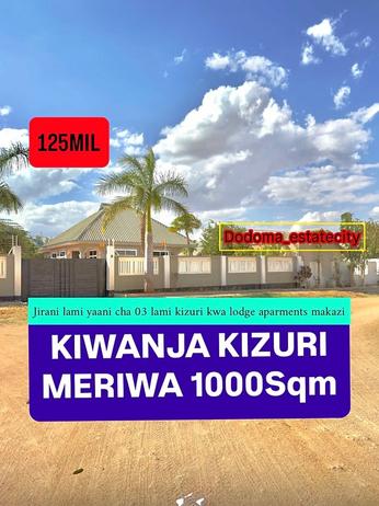 Residential Plot for Sale in Ipala/Meriwa, Dodoma (1000 sqm) Residential Plot for Sale in Ipala/Meriwa, Dodoma (1000 sqm)
