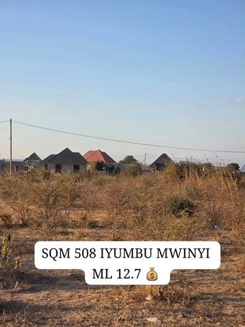 Kiwanja kinauzwa Iyumbu Mwinyi, Dodoma (508 sqm)