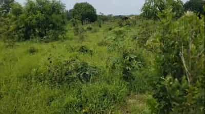 Shamba linauzwa Mlandizi, Pwani (4 acre)