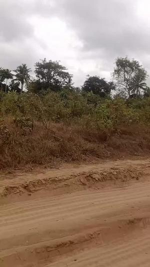 Kiwanja kinauzwa Homboza, Morogoro (1 acre) Kiwanja kinauzwa Homboza, Morogoro (1 acre)