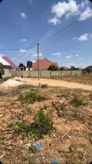 Kiwanja kinauzwa Nzuguni, Dodoma (500 sqm)