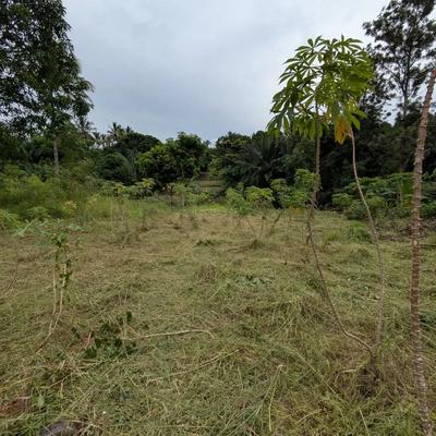 Viwanja vinauzwa Kibamba, Dar Es Salaam (400 sqm)