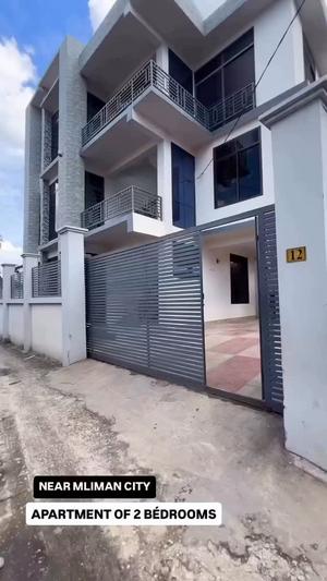 2 Bedrooms House for Rent in Survey, Dar Es Salaam