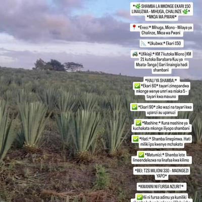 Shamba linauzwa Mihuga, Miono, Pwani (150 acre)