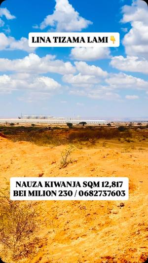 Residential Plot for Sale in Kitelela, Dodoma (12817 sqm) Residential Plot for Sale in Kitelela, Dodoma (12817 sqm)