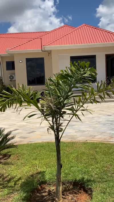 House for Rent in Iyumbu, Dodoma House for Rent in Iyumbu, Dodoma