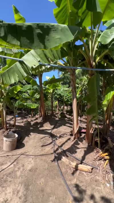 Kiwanja kinauzwa Goba Kinzudi, Dar Es Salaam (400 sqm)