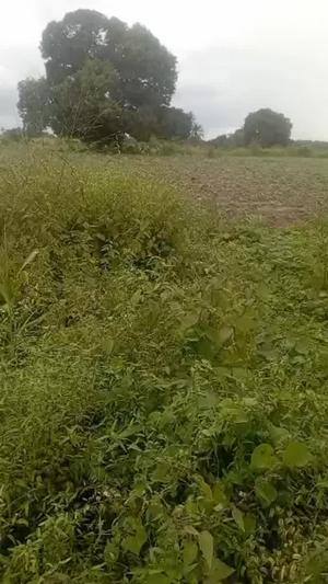 Shamba linauzwa Kibaha Misugu Sugu, Pwani acre 10