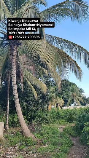 Kiwanja kinauzwa Baina ya Shakan na Nyamanzi, Zanzibar - Mjini Magharibi (4900 sqm)