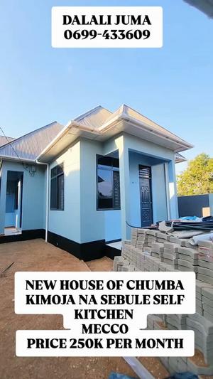1 Bedroom House for Rent in Mwanza 1 Bedroom House for Rent in Mwanza