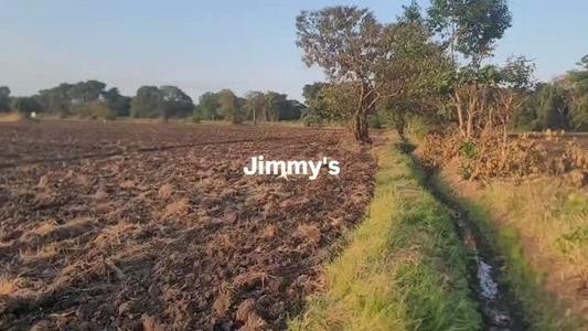 Farm for Sale in Usa River, Arusha (61 acre) Farm for Sale in Usa River, Arusha (61 acre)