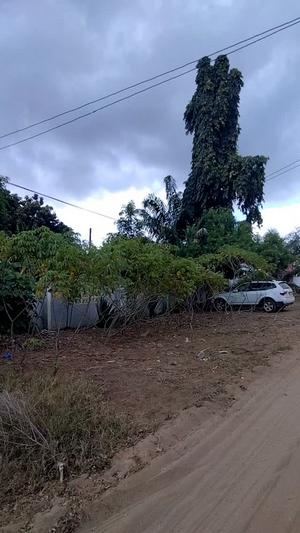 Kiwanja kinauzwa Bagamoyo, Pwani (3000 sqm) Kiwanja kinauzwa Bagamoyo, Pwani (3000 sqm)
