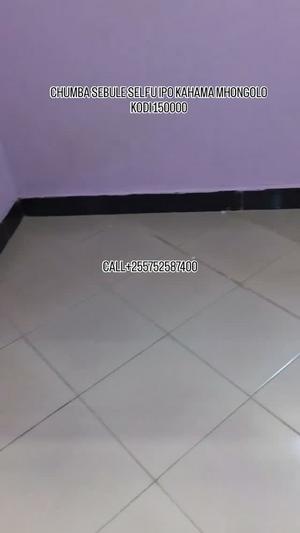 1 Bedroom House for Rent in Mhongolo, Shinyanga 1 Bedroom House for Rent in Mhongolo, Shinyanga